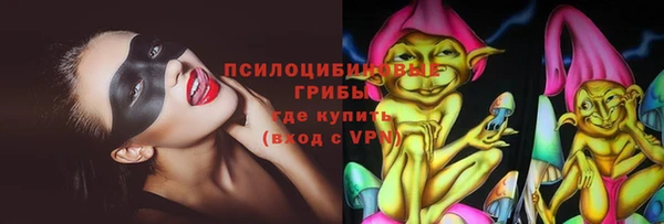ПСИЛОЦИБИНОВЫЕ ГРИБЫ Армянск