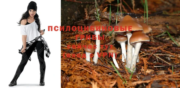 гашиш Балахна