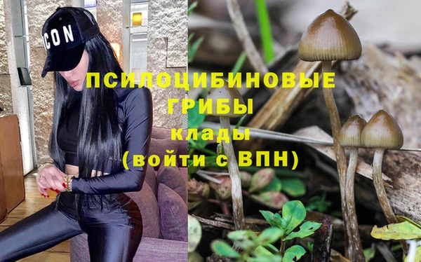круглые Арсеньев